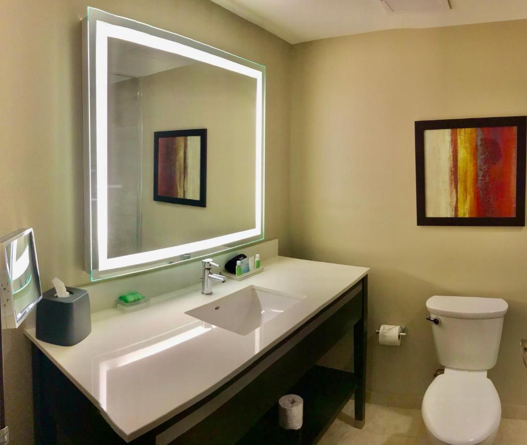 Holiday Inn Chicago Schaumburg By Ihg Εξωτερικό φωτογραφία